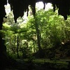 Grotte d'Oumagne dite Grotte de la Reine Hortense - Ile des Pins - Nouvelle-Calédonie